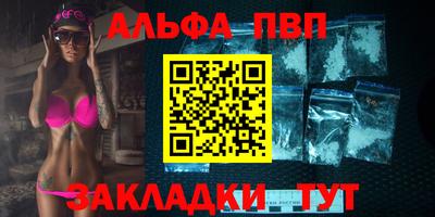 стафф Кингисепп