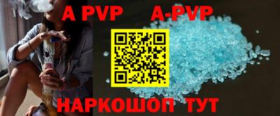 стафф Кингисепп