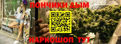стафф Кингисепп
