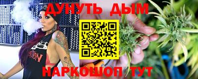 стафф Кингисепп