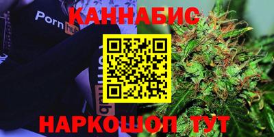 стафф Кингисепп