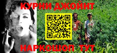 стафф Кингисепп