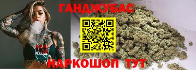 стафф Кингисепп