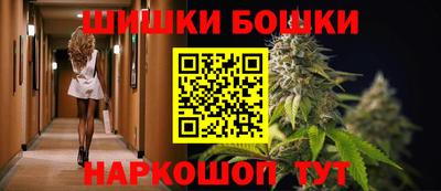 стафф Кингисепп