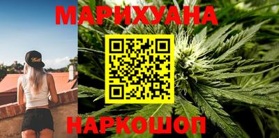 стафф Кингисепп
