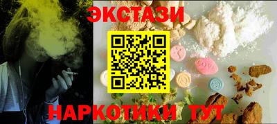 стафф Кингисепп