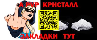 стафф Кингисепп