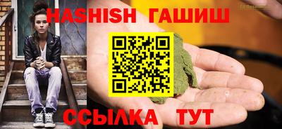стафф Кингисепп
